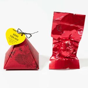 tep-tra-no-hoa-tam-giac-final-300x300