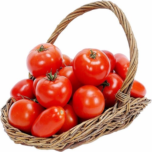 upload_0252fd0a02704a03aeb37f3002b93b2c