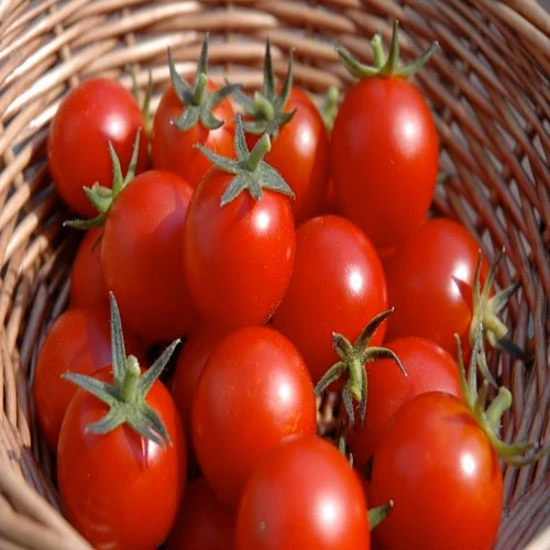 upload_6957abd3a28645938e21fc7f0d19a661